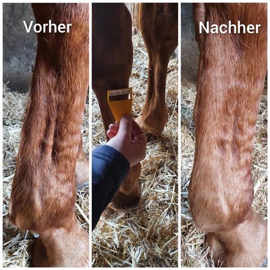 Produkttest: Smart Grooming Equi-Shave
