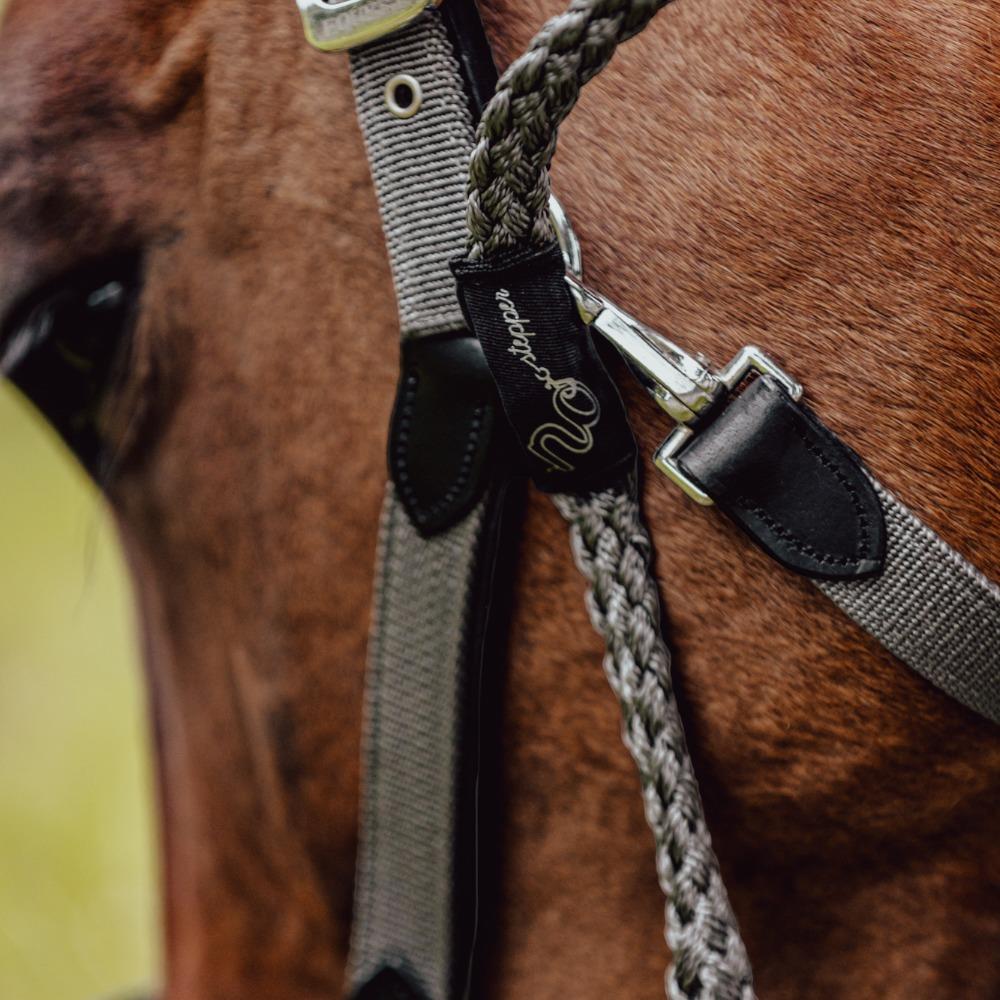 Führstrick "No Stepper" mit Karabiner
