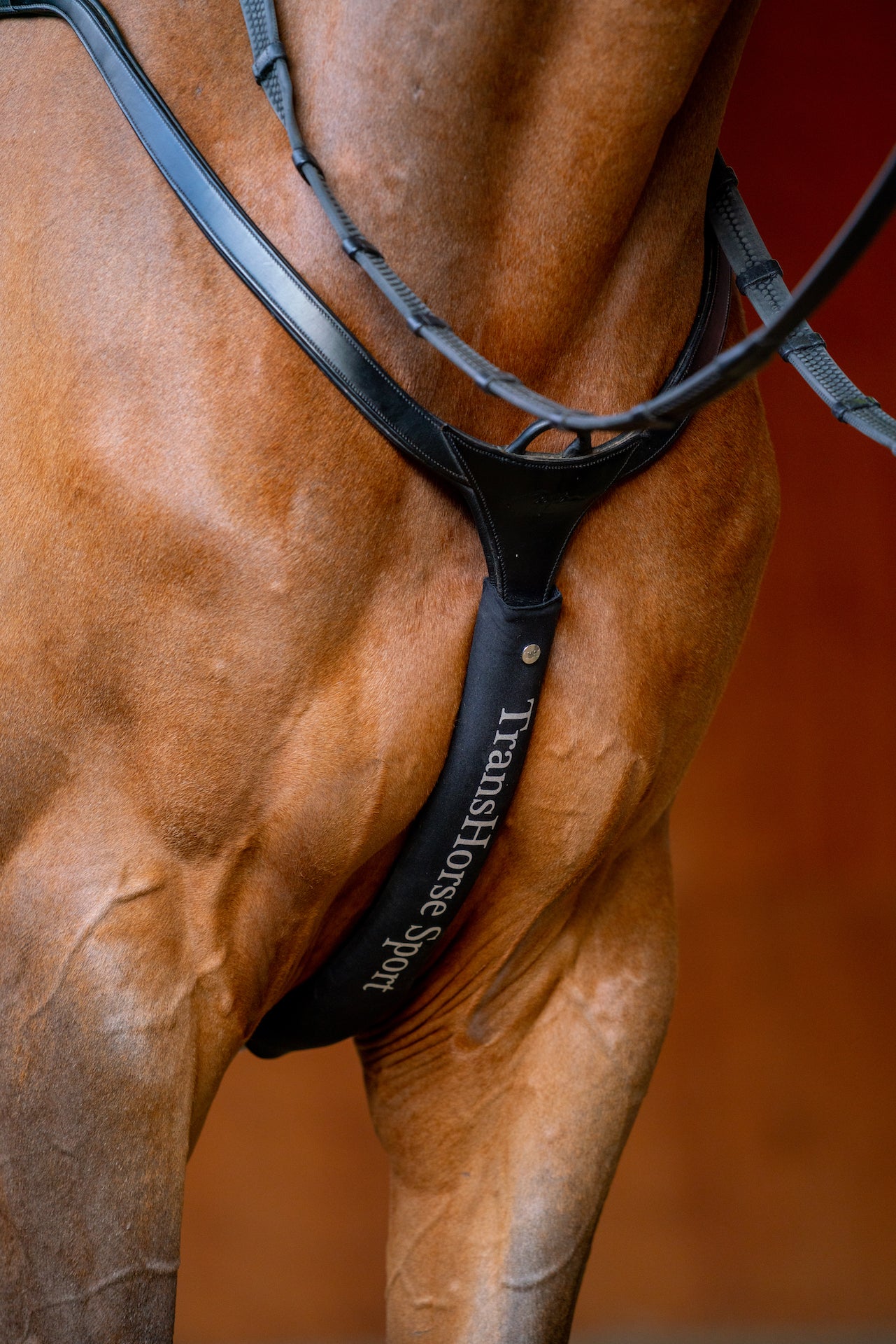 TransHorse Sport Martingalschoner