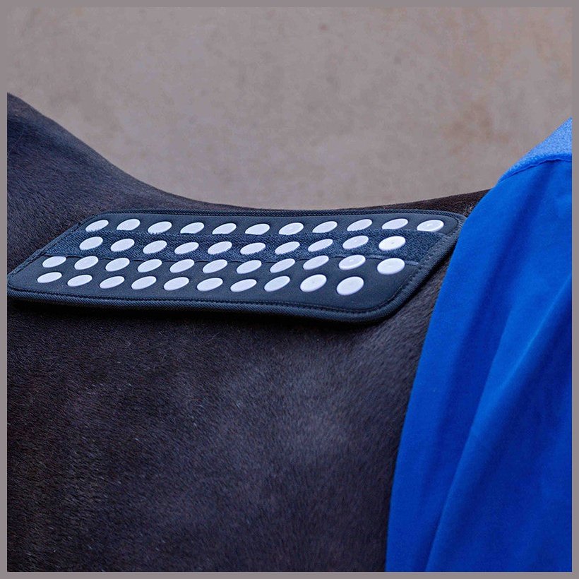 Accuhorsemat Cooler inkl. Akkupressurmatten