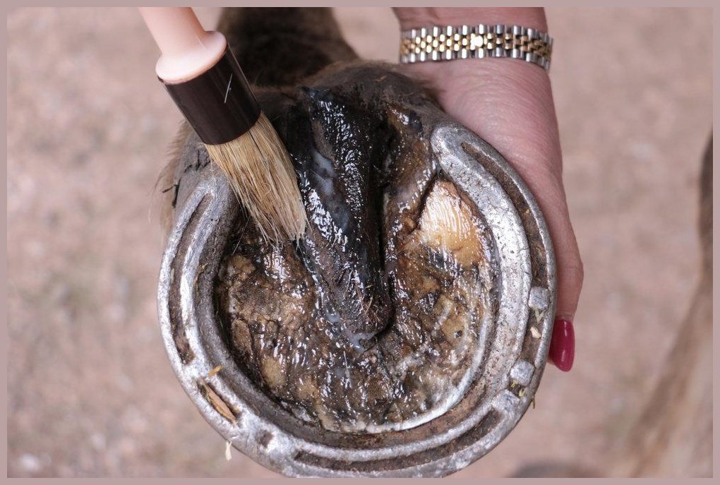 Smart Grooming Hoof Shine Natural 425g