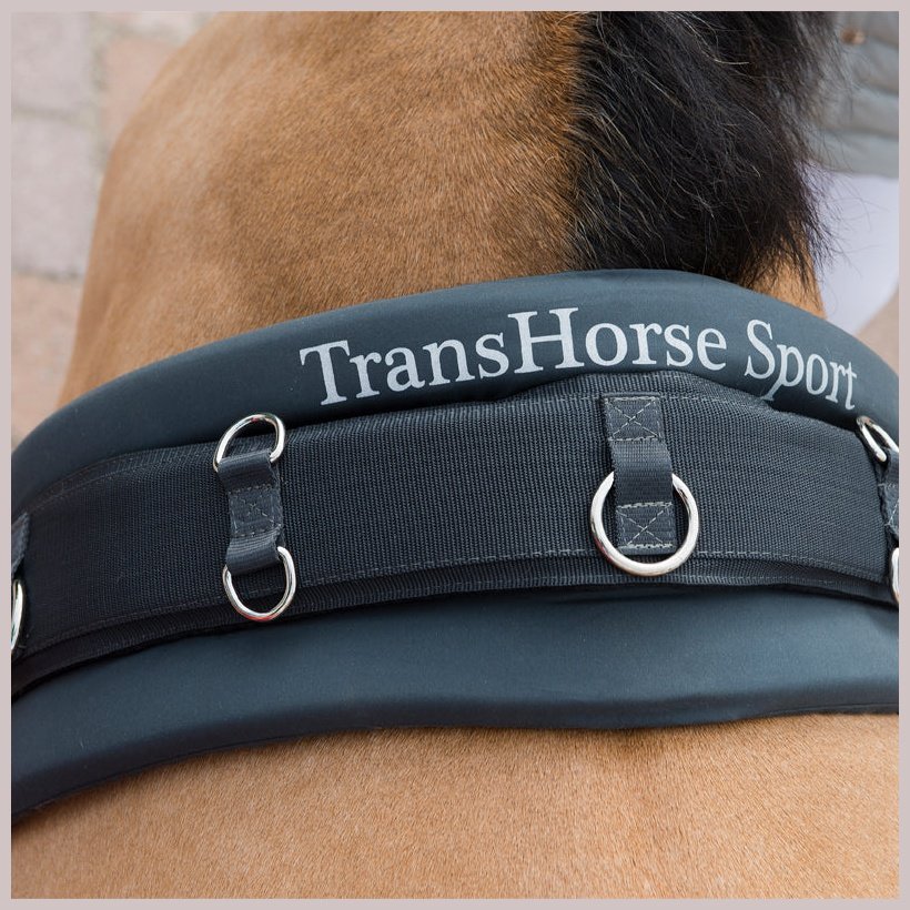TransHorse Longiergurt-Unterlage Memory Classic