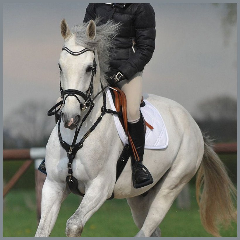 Stollenschutzgurt-Vorderzeug-Kombination "SecureX"