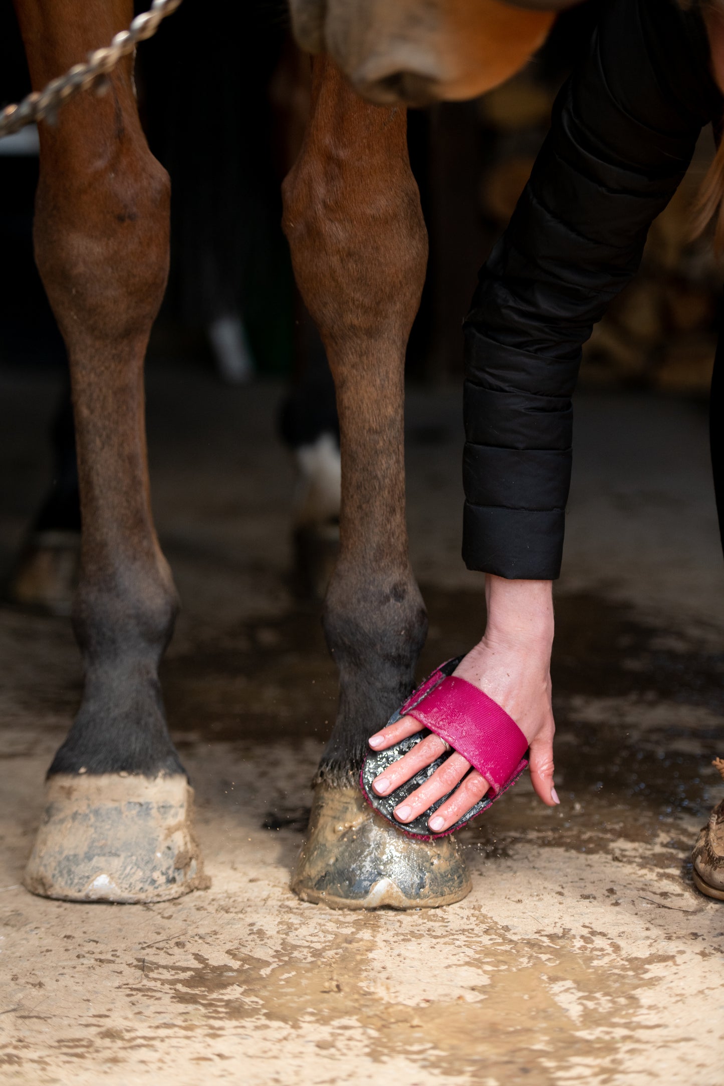 Smart Grooming Super Groomer Deluxe