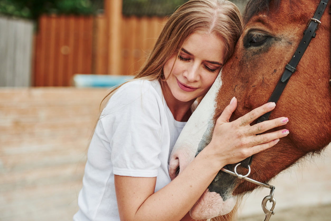der Pferdeladen-Geschenkgutschein