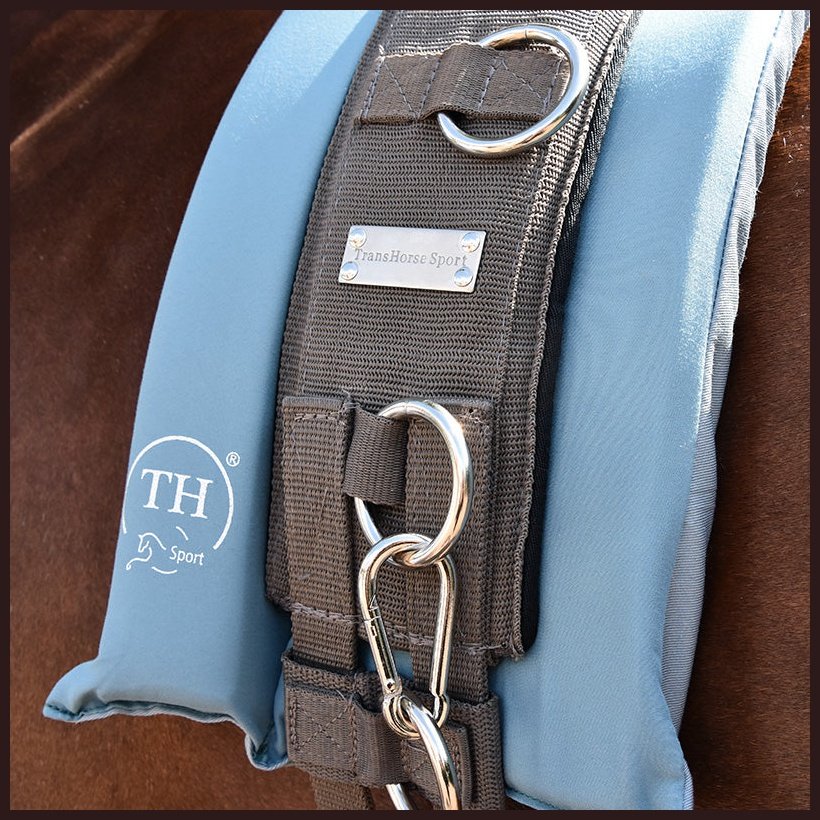 TransHorse Longiergurt-Unterlage Memory Classic