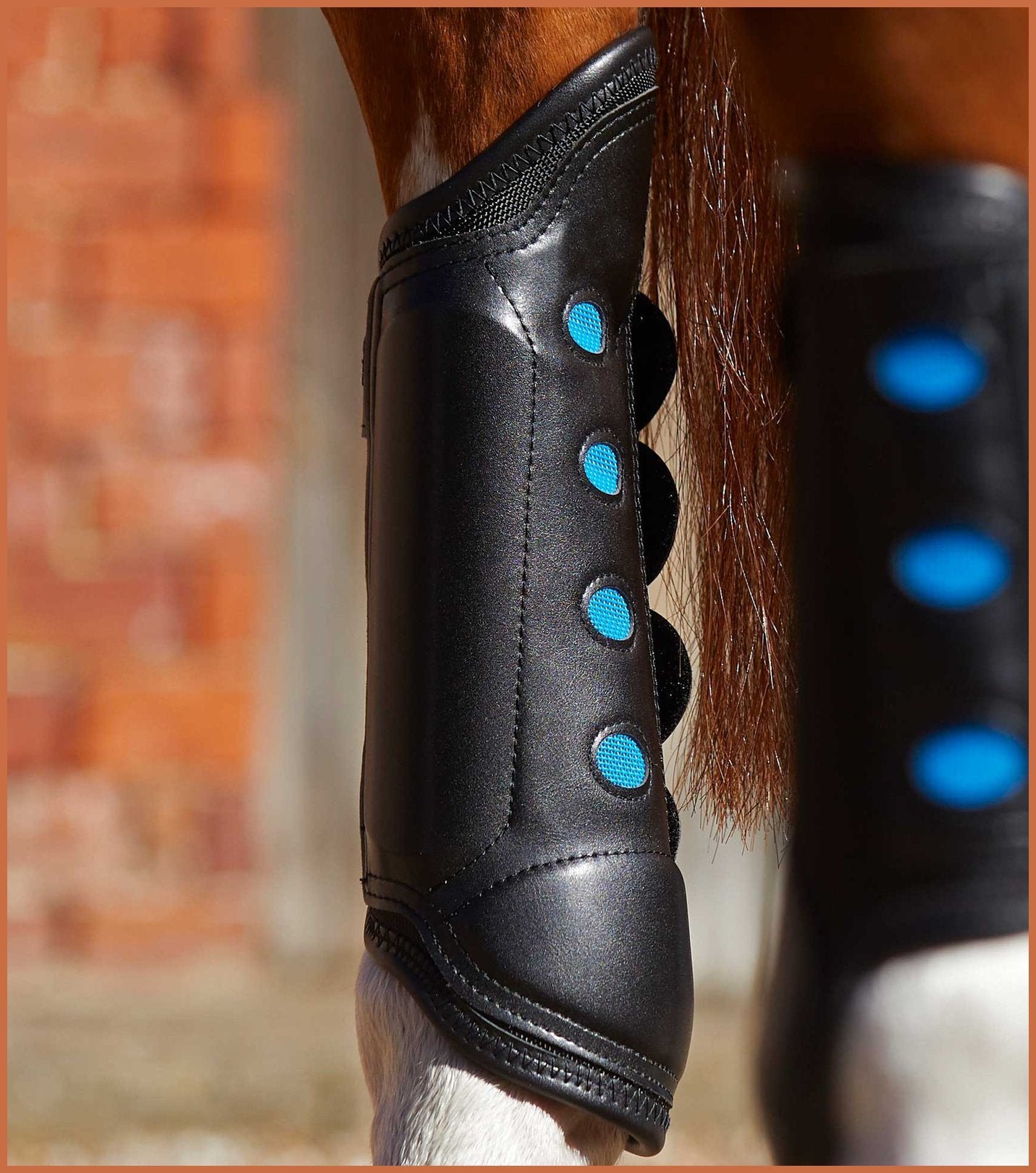 Horse eventing sale boots